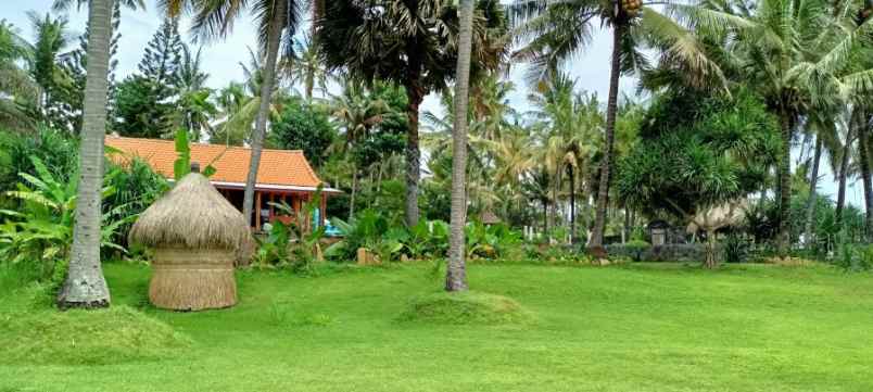 dijual tanah seraya karangasem bali