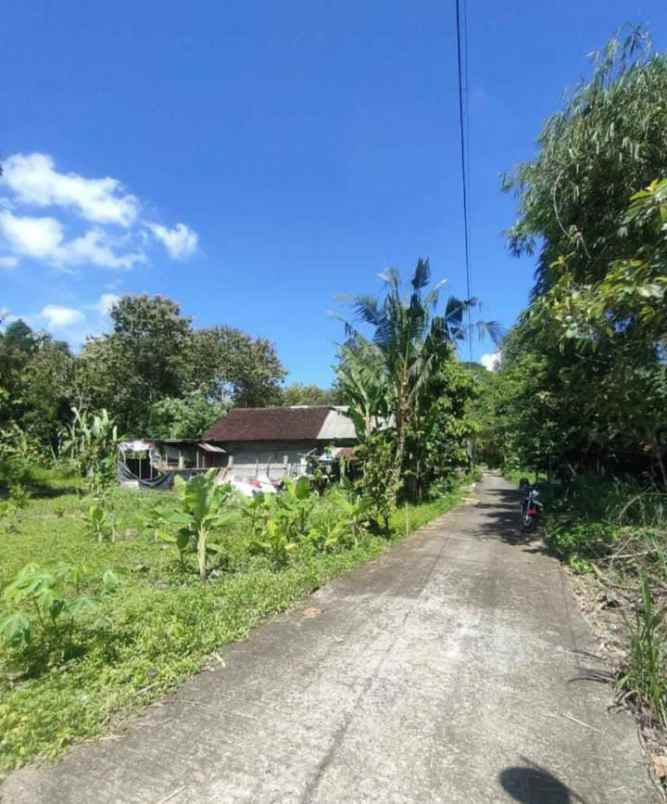 dijual tanah sewon