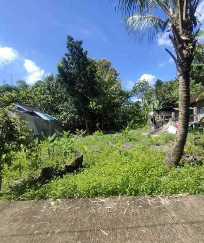 dijual tanah sewon