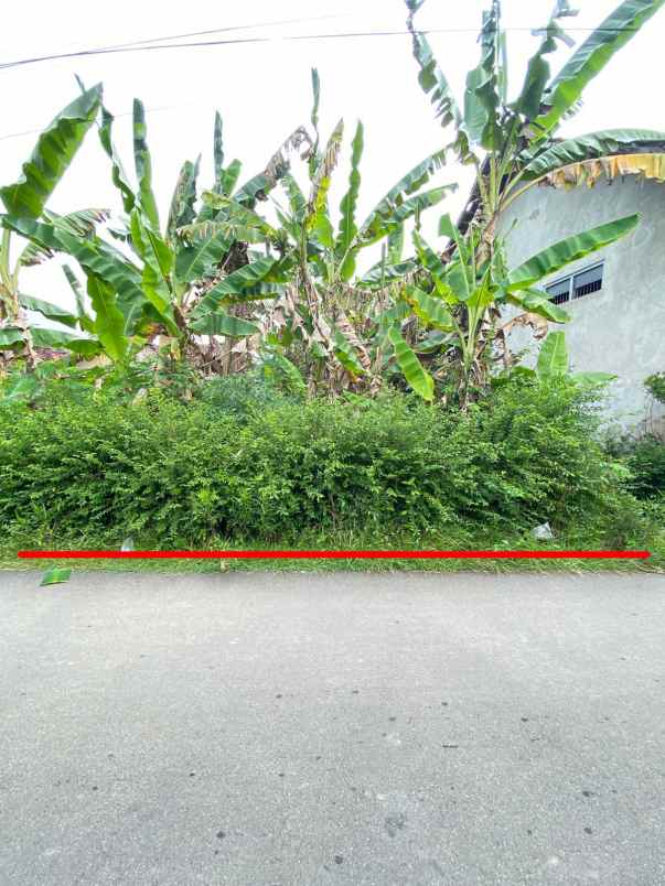 dijual tanah sleman