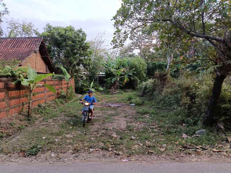 dijual tanah strategis di podoluhur klirong kebumen