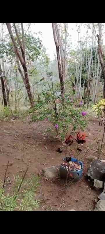 dijual tanah sukanagara