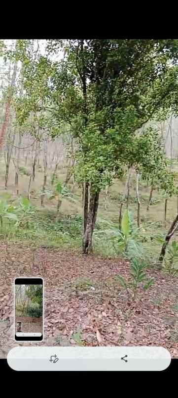 dijual tanah sukanagara