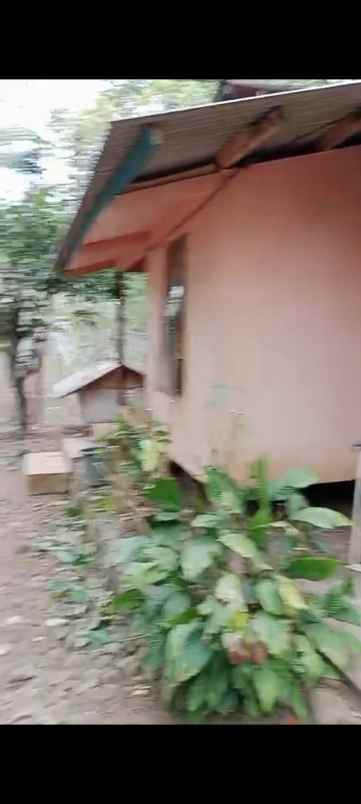 dijual tanah sukanagara