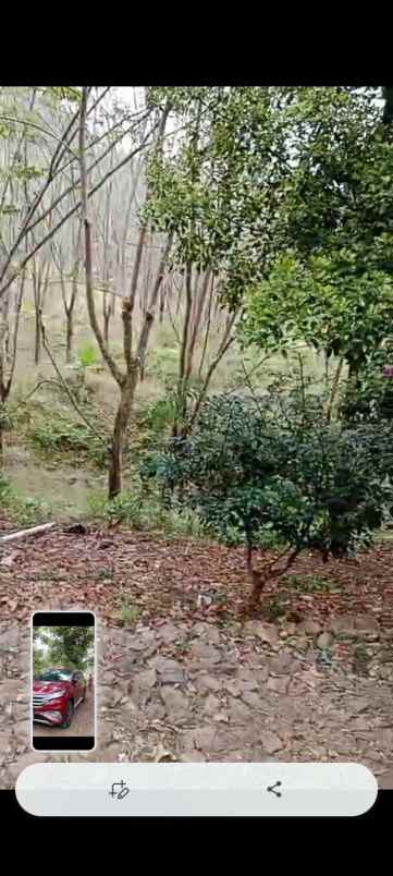 dijual tanah sukanagara
