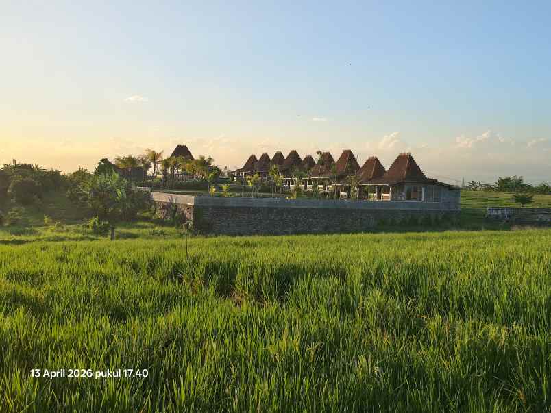 dijual tanah tibubiyu tabanan bali