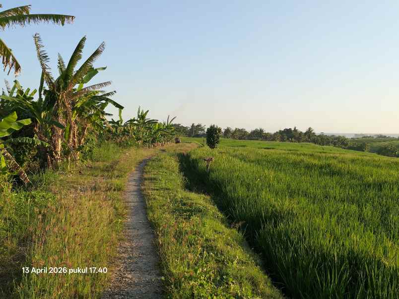 dijual tanah tibubiyu tabanan bali