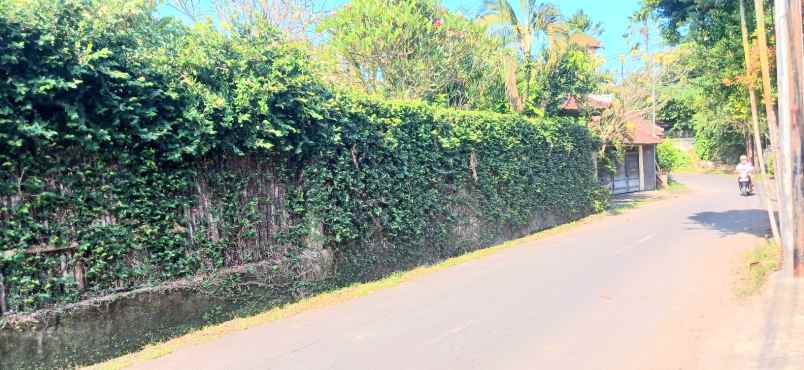 dijual tanah umalas kerobokan badung bali