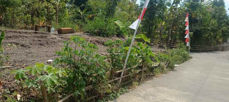 dijual tanah umy