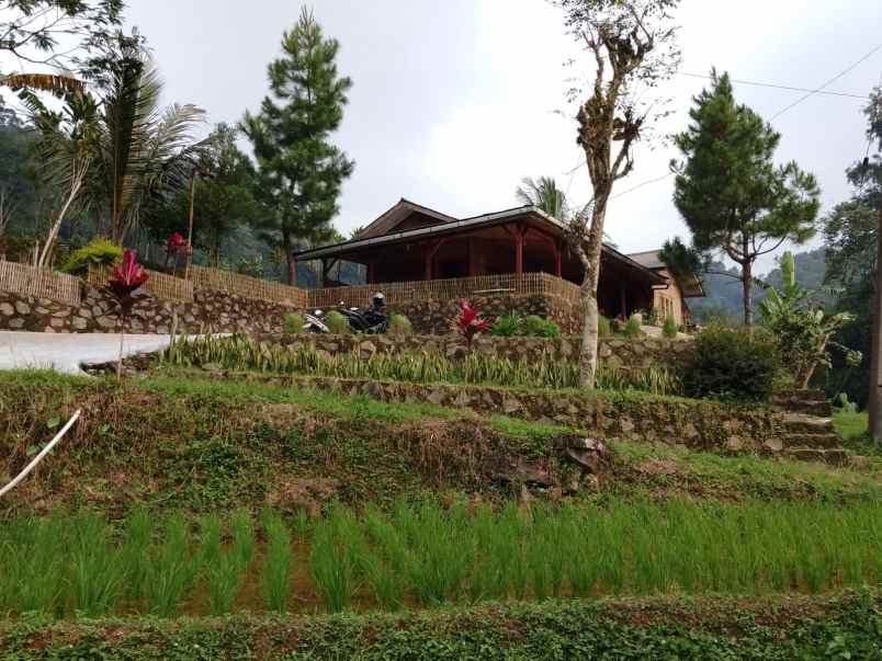 dijual villa kolam ikam