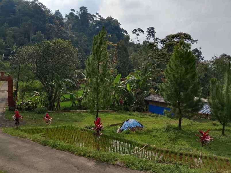 dijual villa kolam ikam