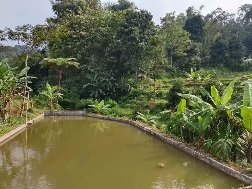 dijual villa kolam ikam