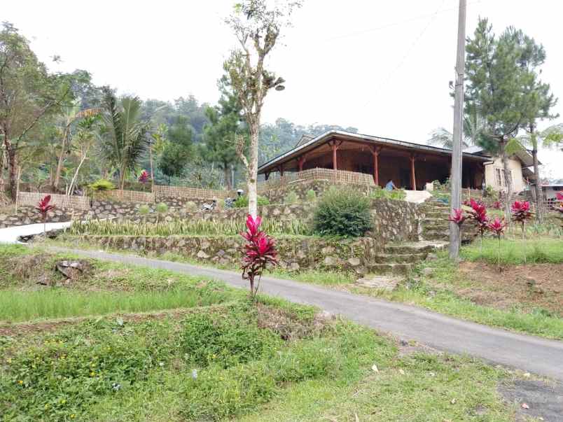 dijual villa kolam ikam