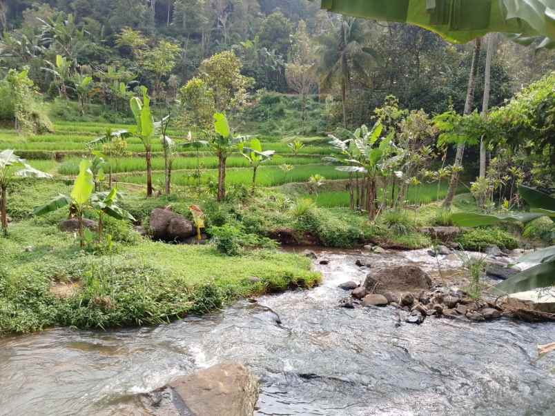 dijual villa kolam ikam