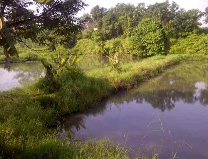 dilepas cepat tanah investasi bojonggede 2659m shm