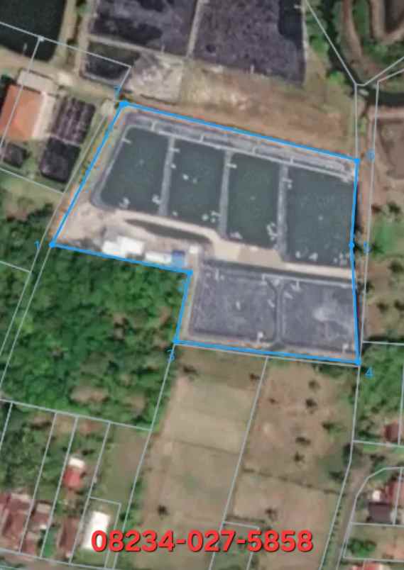 disewakan tambak siap pakai di negara jembrana bali