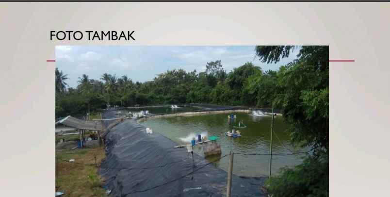 disewakan tambak siap pakai di negara jembrana bali
