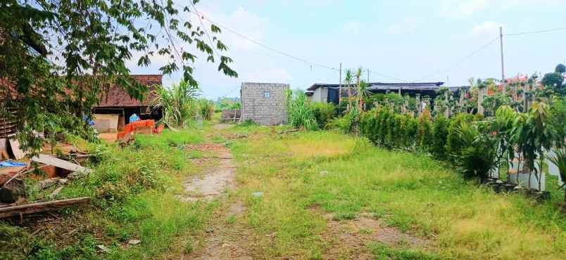 disewakan tanah di darmasaba abiansemal badung bali