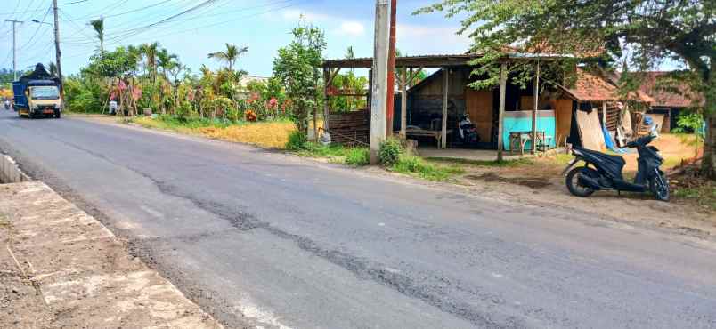 disewakan tanah di darmasaba abiansemal badung bali