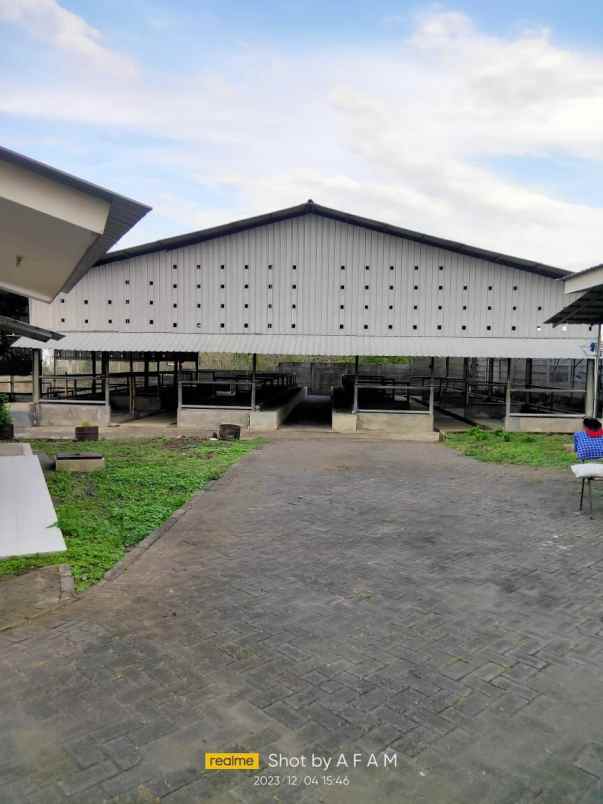 ex kandang sapi siap operasi