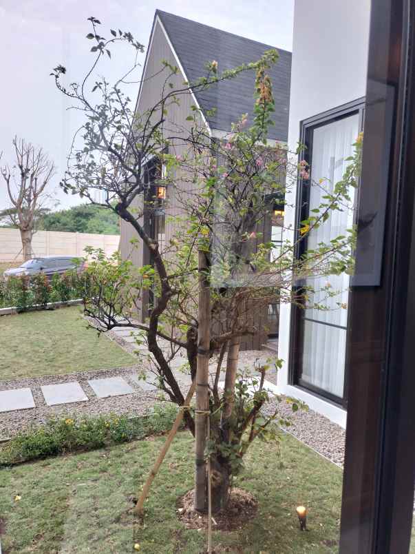 hunian mewah dan megah di dian istana surabaya barat