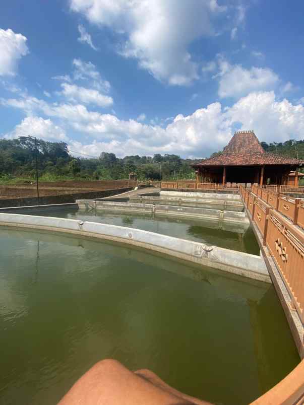 jual lahan kebun bonus gazebo
