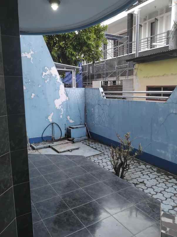 jual pakis tirtosari x