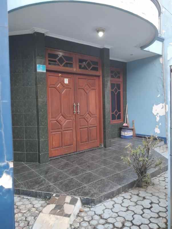 jual pakis tirtosari x