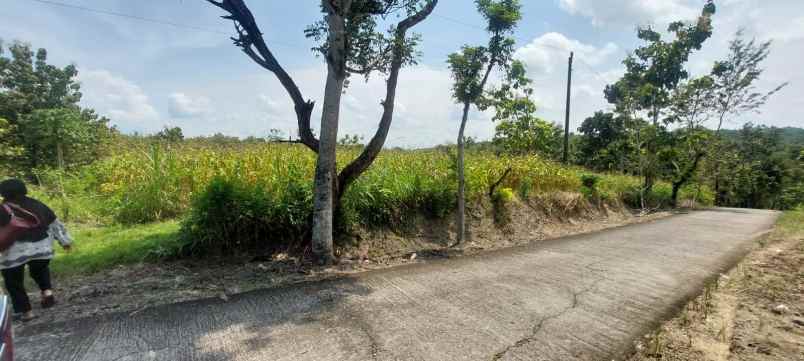 jual tanah datar 8001m 90rb m siap bangun sragen