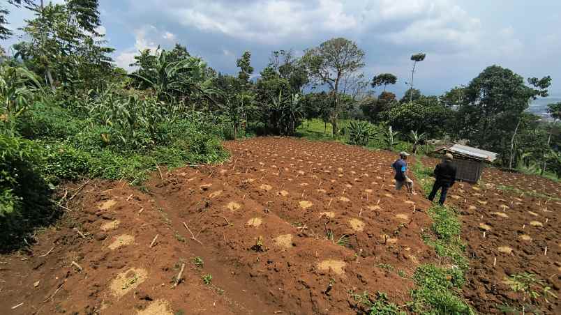 jual tanah istimewa pasir nanjung ciamnggung