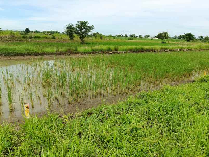 jual tanah kavling daerah beton menganti