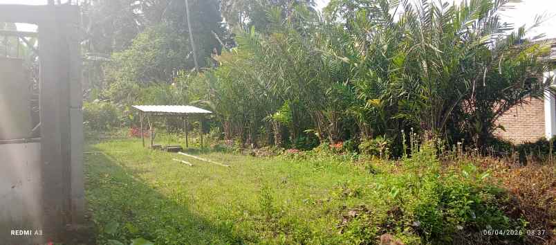 jual tanah sawah bersertifikat resmi