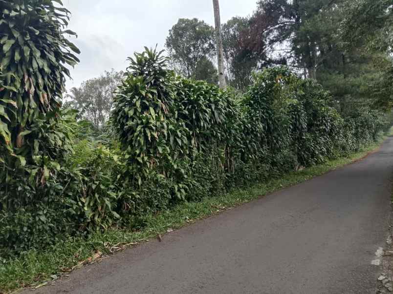 jual tanah strategis ciater