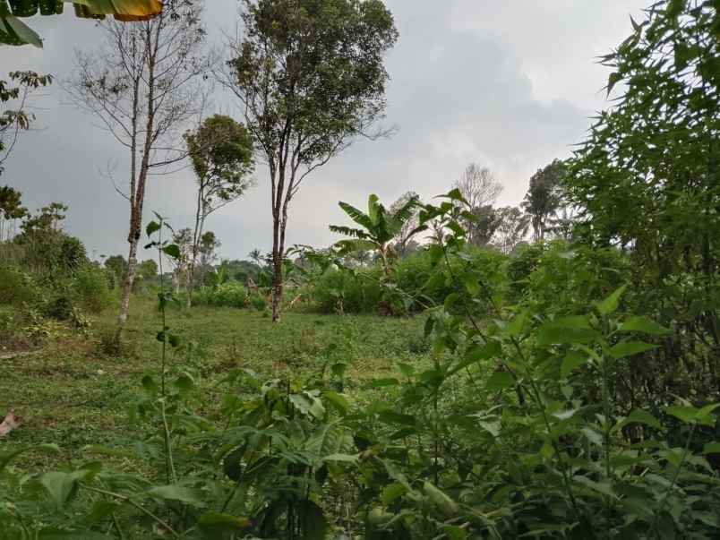 jual tanah strategis ciater