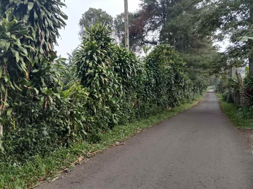 jual tanah strategis ciater