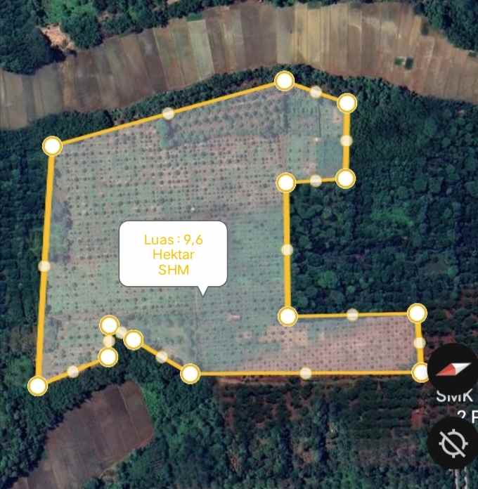kebun durian premium 1 114 pohon subang