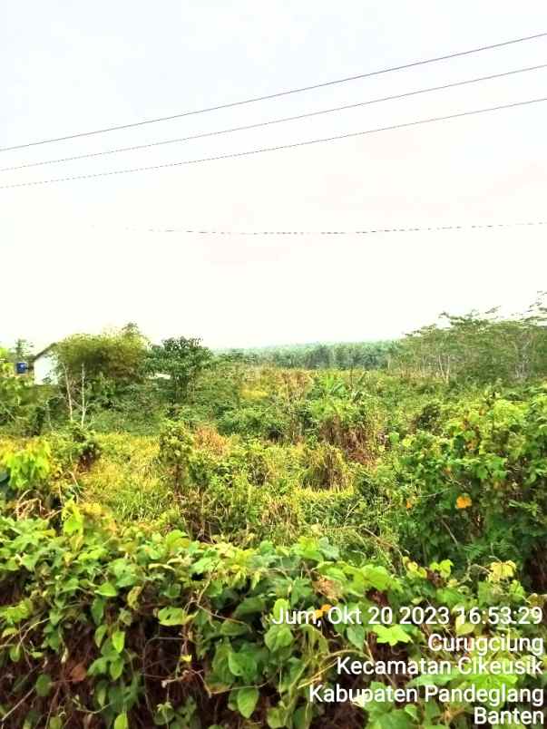 lahan kavling pinggir cikeusik