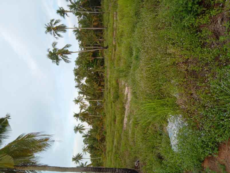 lahan pinggir jalan 15 2ha 4 bangunan