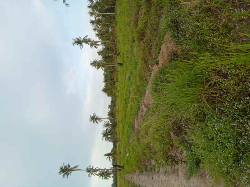 lahan pinggir jalan 15 2ha 4 bangunan