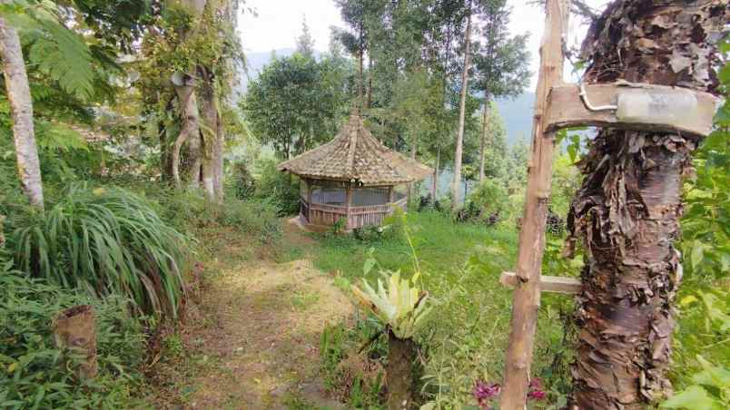 lokasi tanah di mega mendung bogor