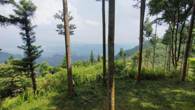 lokasi tanah di mega mendung bogor