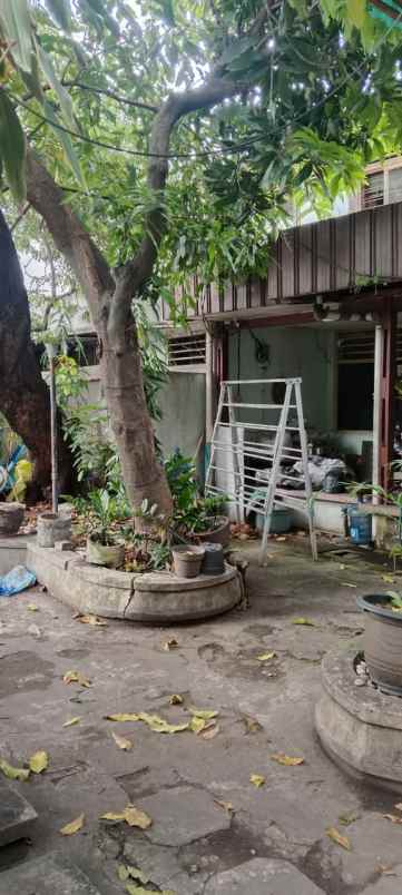 rumah hit tanah kembang kuning harga nego row jalan 7m