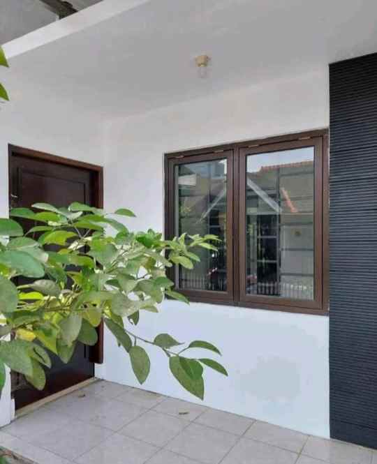 rumah jangli tembalang semarang