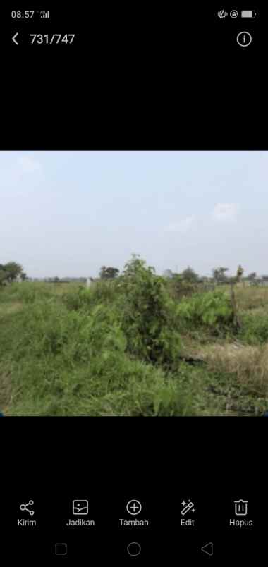 sawah murah bekas kolam