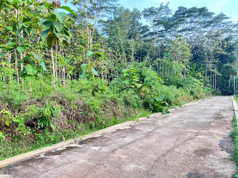 tanah 2050m siap bangun utara pasar mojogedang