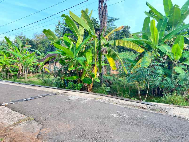 tanah 2050m siap bangun utara pasar mojogedang