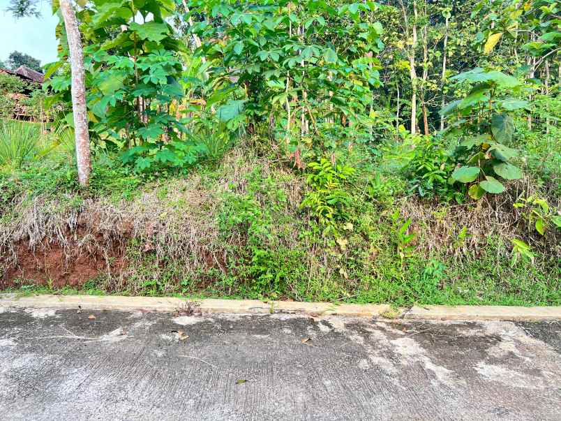 tanah 2050m siap bangun utara pasar mojogedang