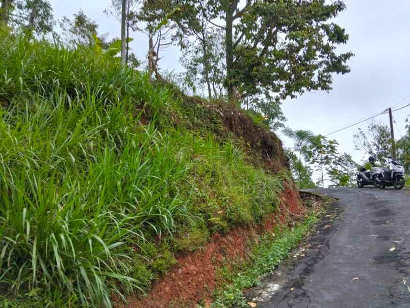 tanah 90 juta udara dingin ngargoyoso