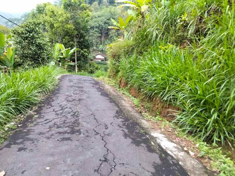 tanah 90 juta udara dingin ngargoyoso