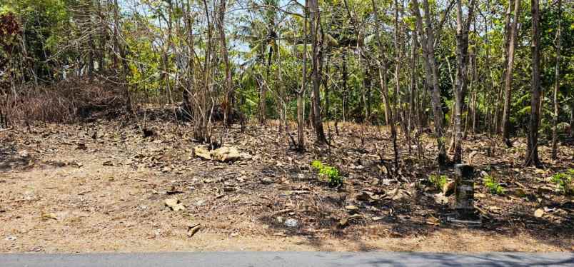 tanah 945 m2 temon kulon progo